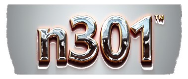 n301 logo
